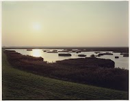 Verdronken Land van Saeftinge