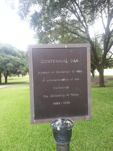 Centennial Oak