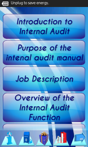 Internal Audit P P Manual Demo