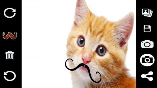 Mustache Camera