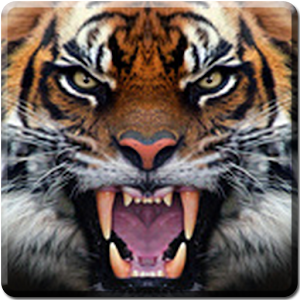 Tiger Live Wallpaper logo