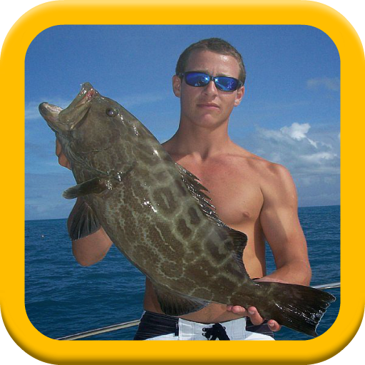 Catch Grouper Fish