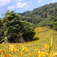 沐心泉休閒農場