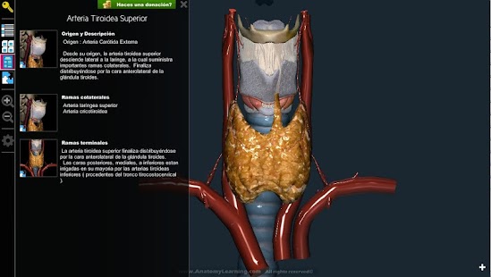  Anatomy Learning - 3D Atlas: miniatura de captura de pantalla  