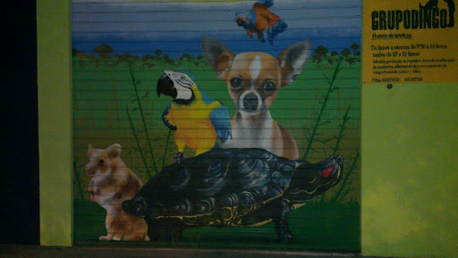 Grafitti Animales
