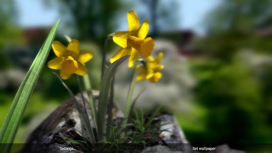 Nature Live: Spring Flowers XL - screenshot thumbnail
