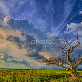Brilliant by KIN WAH WONG - Landscapes Sunsets & Sunrises