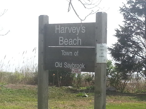 Harvey's Beach