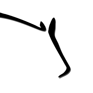 Western News logo