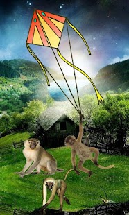 Kites Festival Screenshots 8