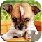 hack astuce Dogs Jigsaw Puzzles Games Kids en français 