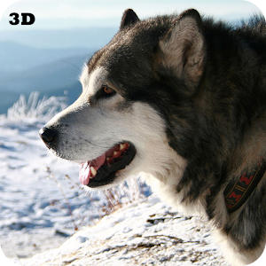 Husky 3D Live Wallpaper FREE.apk 1.12