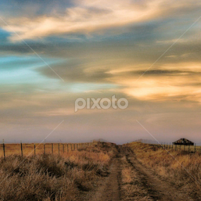 Homeward by Candy (Ellison) Downs - Landscapes Prairies, Meadows & Fields