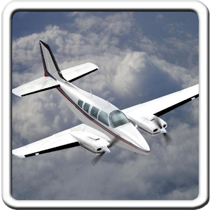 Airplane Flight Simulation for PC and MAC