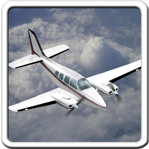 Airplane Flight Simulation 1.8