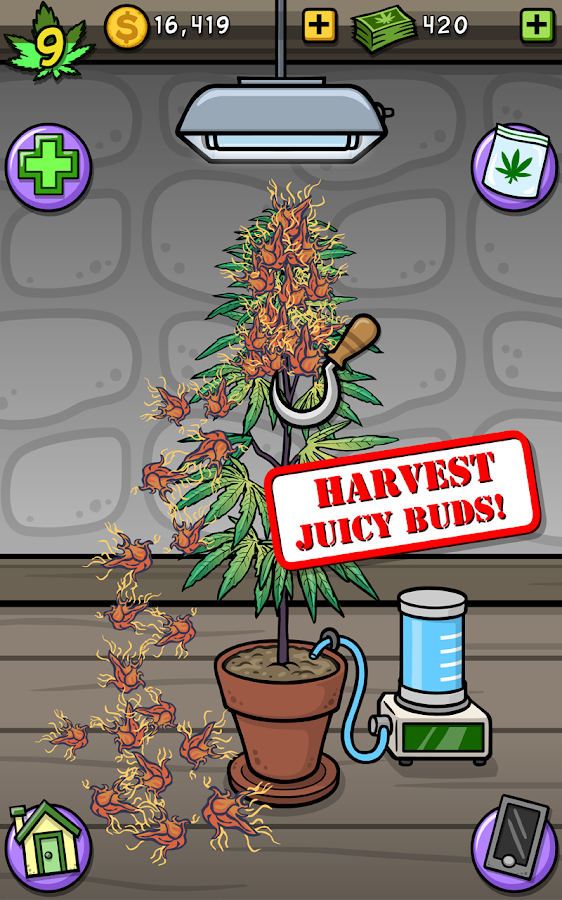 Pot Farm Grass Roots Android Apps on Google Play