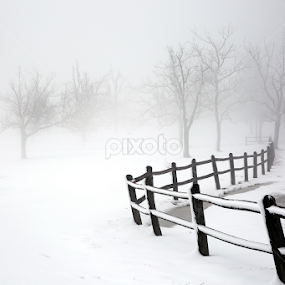 Winter Solitude - Queen Wilhelmina State Park - Winter 2015 by William Rainey  - Uncategorized All Uncategorized