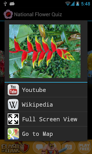 【免費解謎App】National Flower Quiz-APP點子