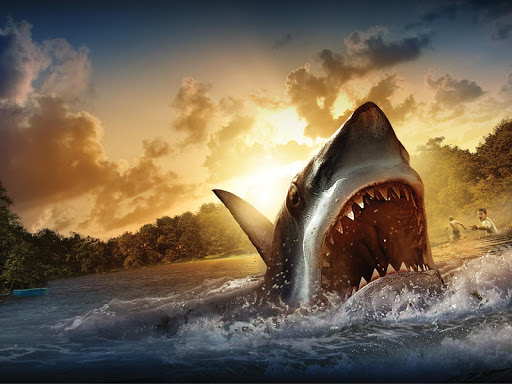 Shark HD Live Wallpaper