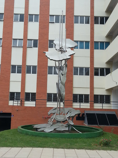 Monumento Facultad De Ciencias Médicas