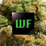 Weed Facts Apk