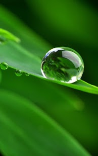 How to mod Dew Drops Live Wallpaper 3.0 mod apk for pc