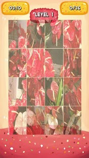 How to get Anthurium Jigsaw Puzzles lastet apk for android