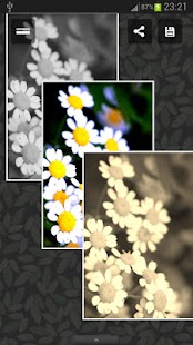 download Photo Album free