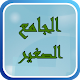 Small mosque Shibani APK