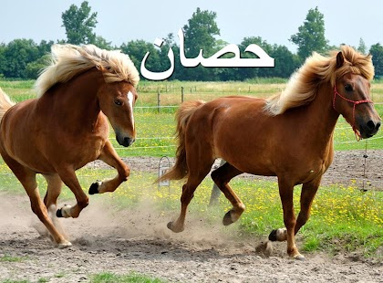 Free Download كتاب الحيوانات APK