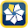 CSN Mobile Download on Windows