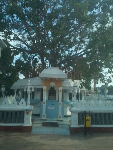Bodhiya at Sri Wijayaramaya
