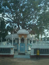Bodhiya at Sri Wijayaramaya