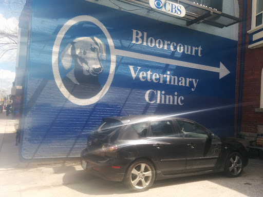 Bloorcourt Veterinary Clinic mural