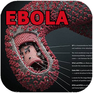  Ebola App Now Available For Download @ Googleplay store