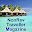 NonRev Traveler Magazine Download on Windows
