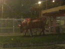 Bombeiros Cow