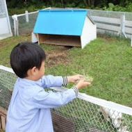 A‧maze兔子迷宮咖啡餐廳(礁溪浴場)