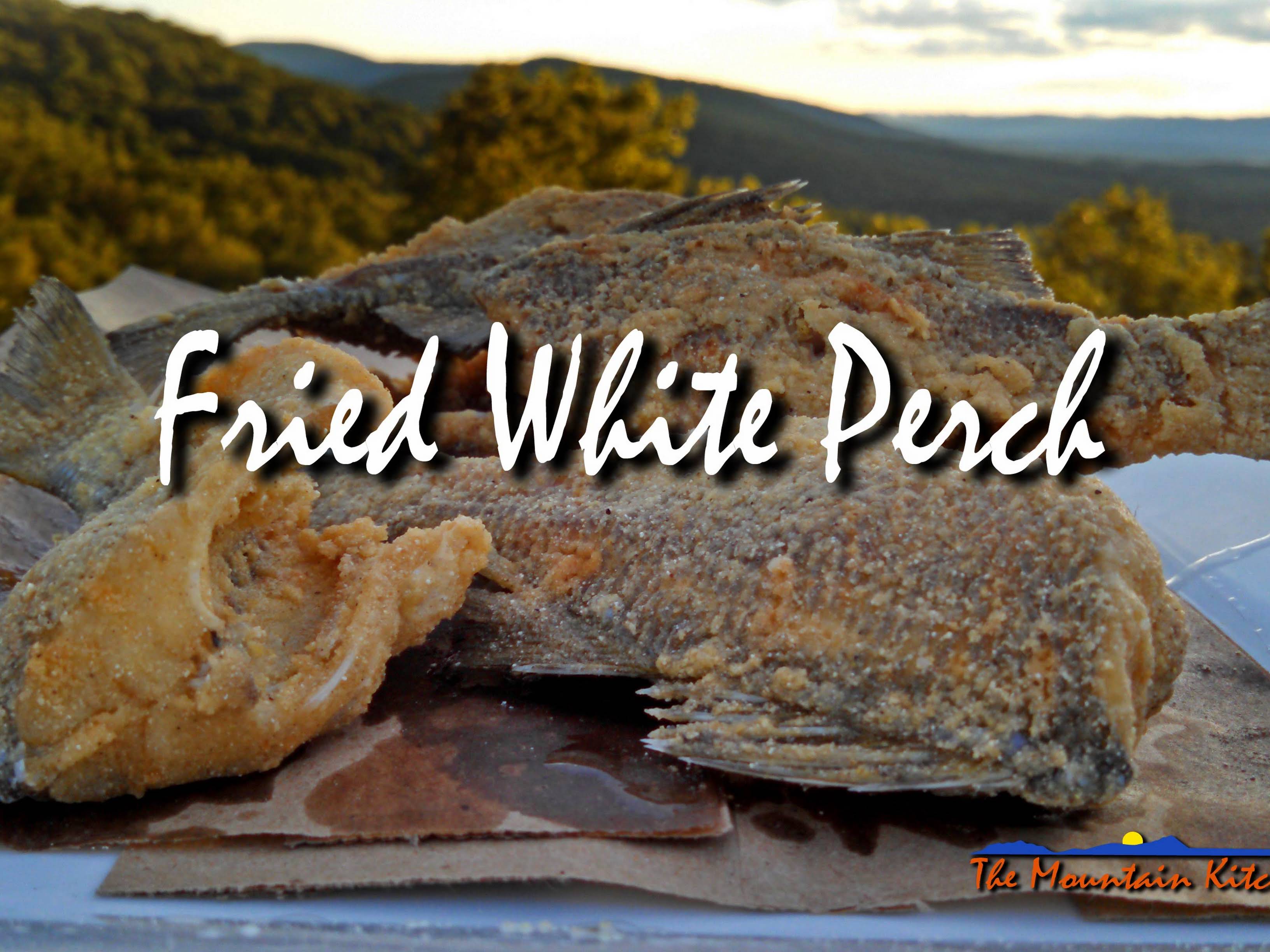 10 Best Perch Fish Recipes Yummly