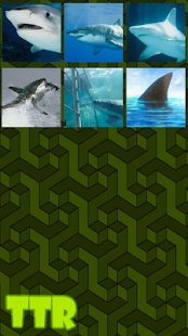 Free Download Sharks Sliding Puzzle APK for Android