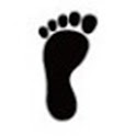 Walk Work logo