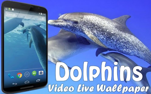 How to download Dolphins Video Live Wallpaper patch 3.0 apk for pc