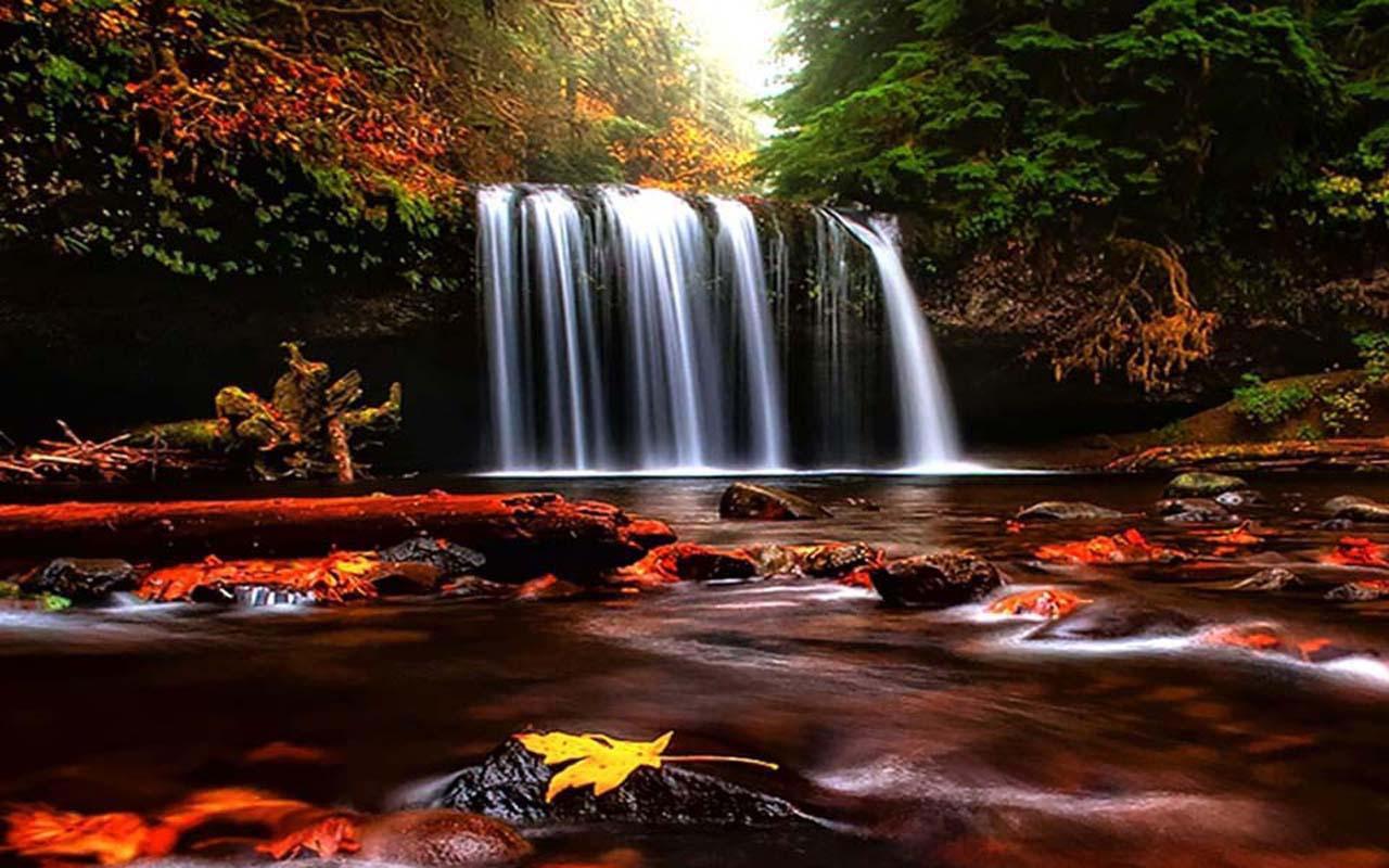 Iglc7qvzL6rwiEJHo-0Ig6l4FgmTrN0KqsGIACnxI556VPrzCZoFrMsdbd3HZqwyIQrV=h900