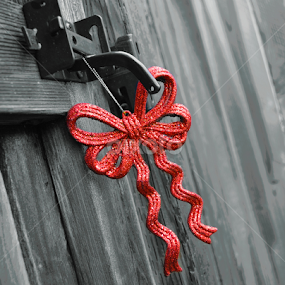 by Michelle Farmer - Artistic Objects Still Life