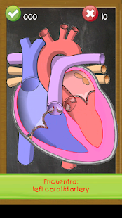 Download Learn human anatomy for kids APK
