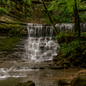 Jackson Falls by Michelle Edwards - Landscapes Waterscapes
