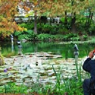 菁芳園 Tenway Garden／花園餐廳／落羽松