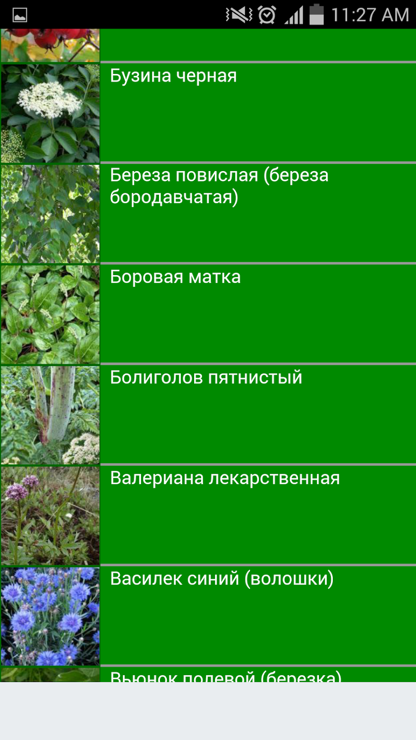 Лекарственные растения Screen 3