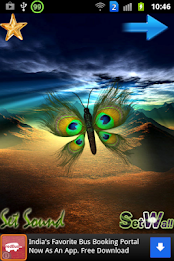 Peacock Butterfly poster 5