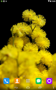 How to mod Mimosa Live Wallpaper 1.1.1 unlimited apk for pc